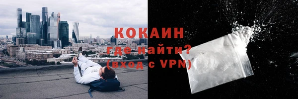 соль ск Болотное