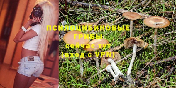 apvp Навашино