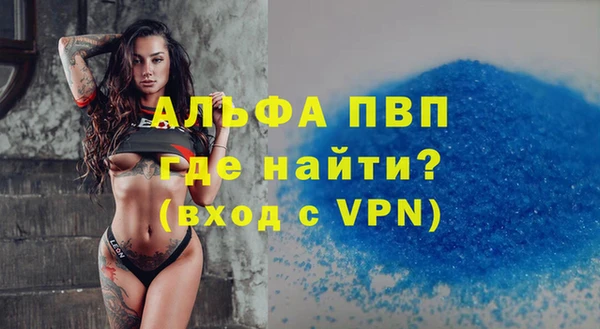 стафф Надым