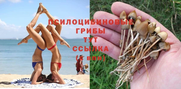 apvp Навашино