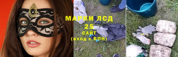 стафф Надым