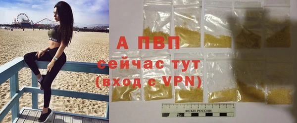 стафф Надым