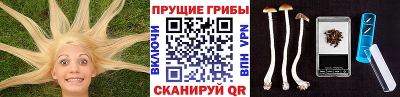 Псилоцибиновые грибы GOLDEN TEACHER  Ужур 